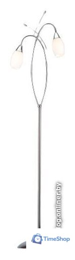 Торшер Евросвет Ginevra 22080/2F (хром) - Изображение №1 — Интернет-магазин Time-Shop