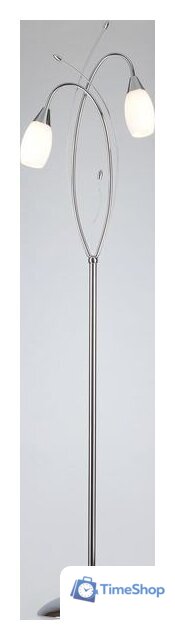 Торшер Евросвет Ginevra 22080/2F (хром) - Изображение №2 — Интернет-магазин Time-Shop