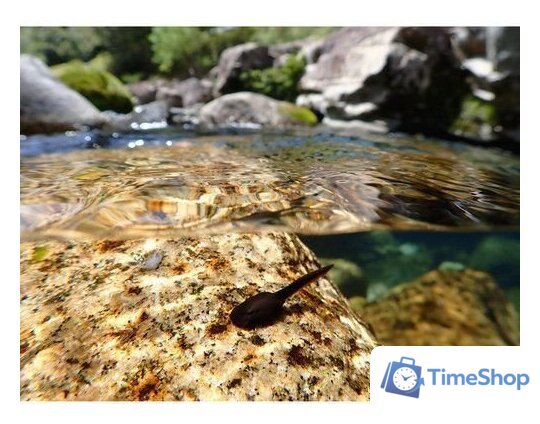 Фотоаппарат Olympus Tough TG-7 (черный) - Изображение №10 — Интернет-магазин Time-Shop