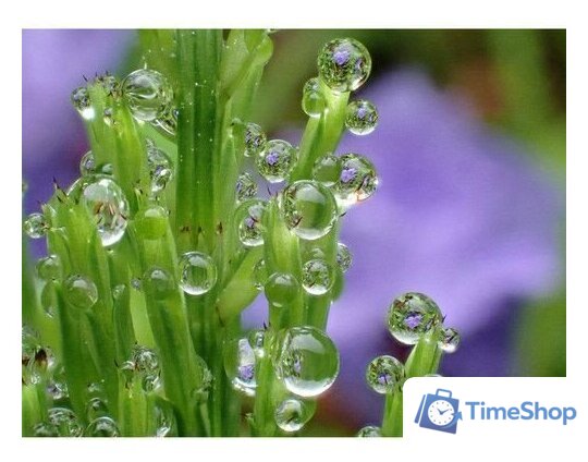 Фотоаппарат Olympus Tough TG-7 (черный) - Изображение №11 — Интернет-магазин Time-Shop