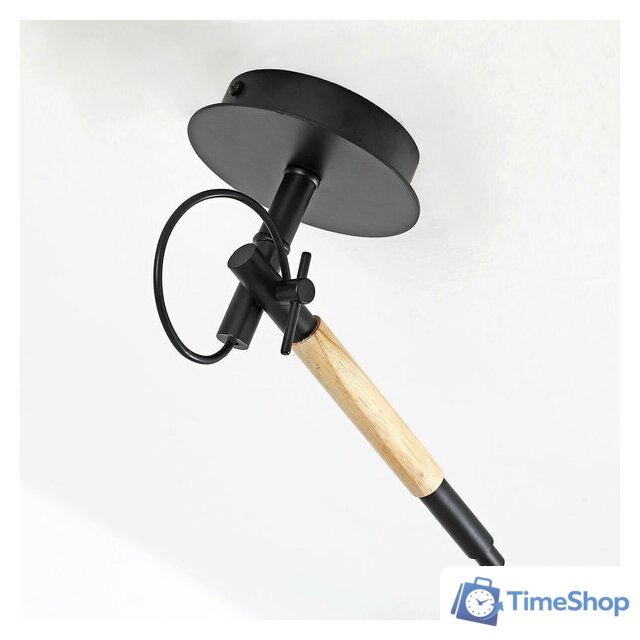 Подвесная люстра F-Promo Eureka 3006-1P - Изображение №4 — Интернет-магазин Time-Shop