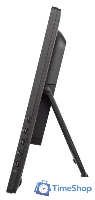 Портативный монитор iiyama ProLite T2455MSC-B1 - Изображение №8 — Интернет-магазин Time-Shop