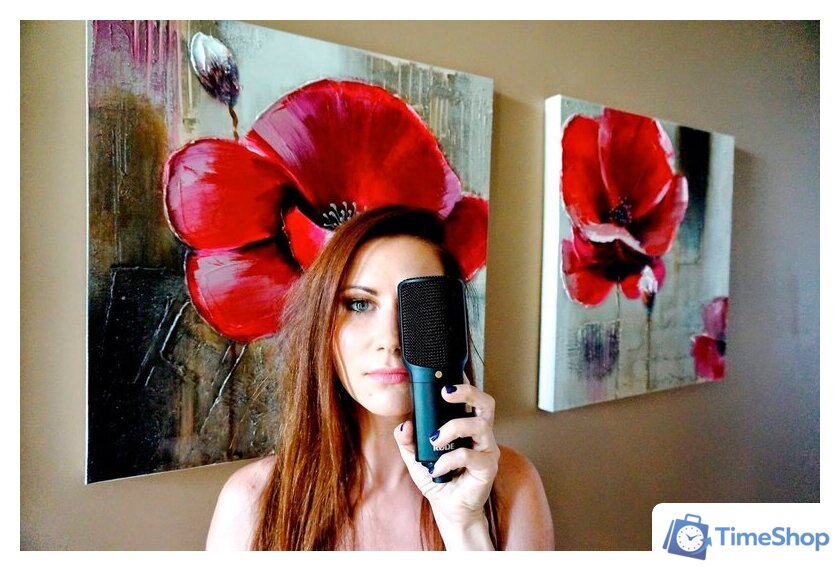 Проводной микрофон RODE NT-USB - Изображение №11 — Интернет-магазин Time-Shop