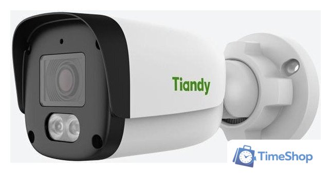 IP-камера Tiandy TC-C34QN 2GNA-28 - Изображение №1 — Интернет-магазин Time-Shop