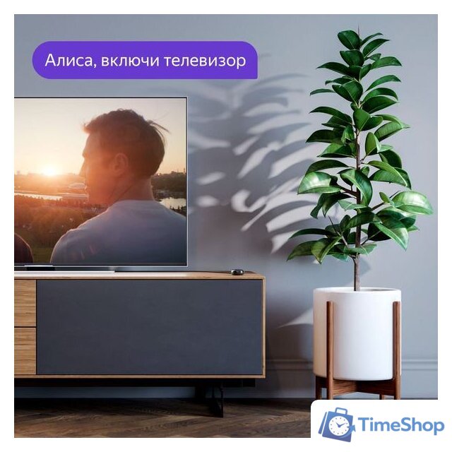 ИК-пульт Яндекс YNDX-0006 - Изображение №5 — Интернет-магазин Time-Shop