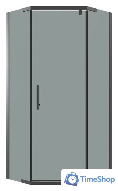 Душевой уголок Niagara Eco NG-1010-14DT 100x100x190 (черный/стекло тонированное) - Изображение №1 — Интернет-магазин Time-Shop