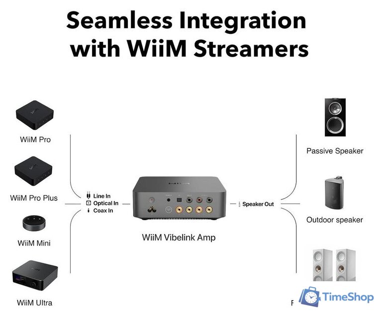 Усилитель мощности WiiM Vibelink Amp (серебристый) - Изображение №2 — Интернет-магазин Time-Shop