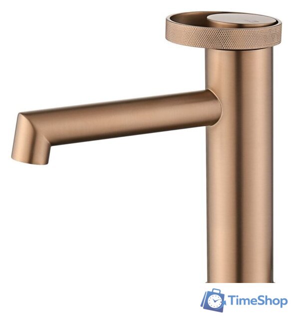 Смеситель Ganzer GZ19111-R - Изображение №1 — Интернет-магазин Time-Shop