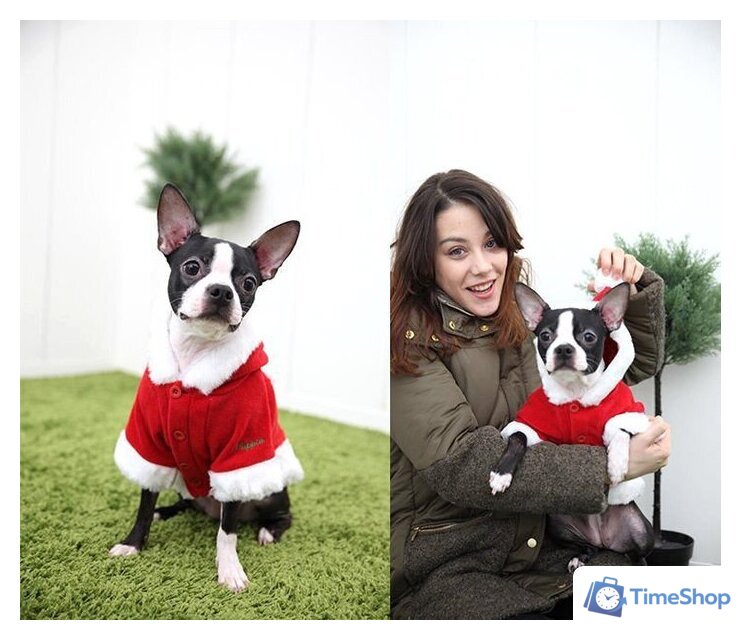 Куртка для животных Puppia Santa PDDF-SC23-RD-4L (красный) - Изображение №4 — Интернет-магазин Time-Shop
