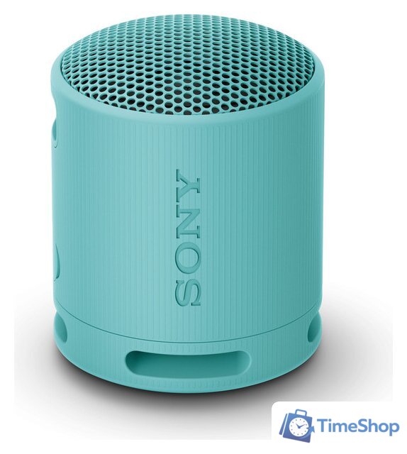 Беспроводная колонка Sony XB100 (голубой) - Изображение №1 — Интернет-магазин Time-Shop