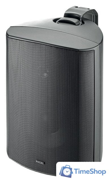  Focal 100 OD6 (черный) - Изображение №1 — Интернет-магазин Time-Shop