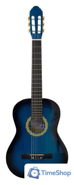 Акустическая гитара Fabio FB3910 BLS - Изображение №1 — Интернет-магазин Time-Shop