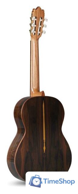 Акустическая гитара Alhambra Student Iberia Ziricote - Изображение №2 — Интернет-магазин Time-Shop