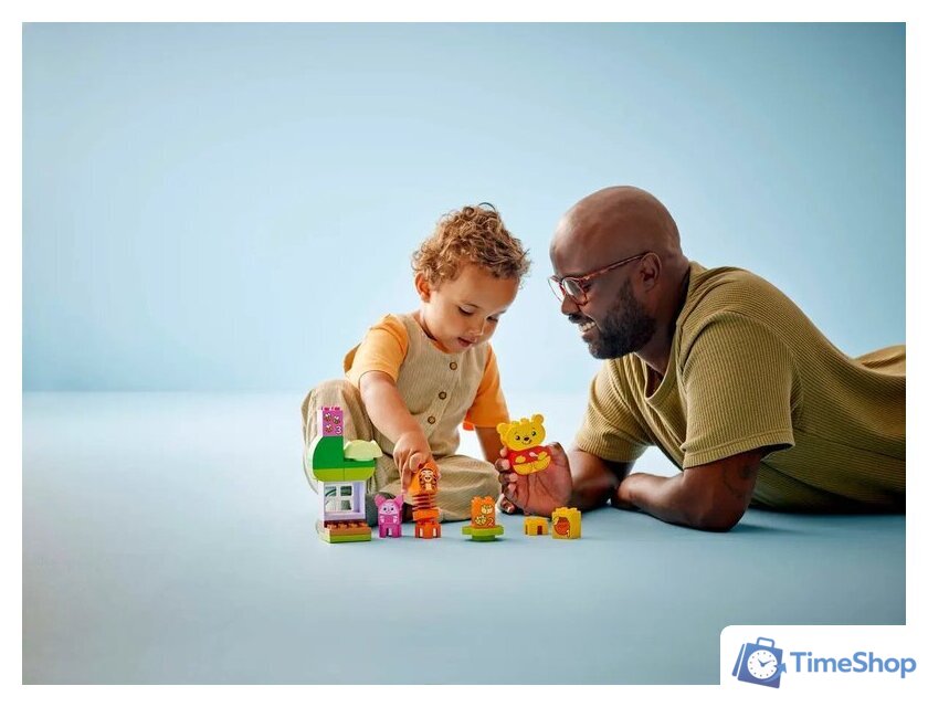 Конструктор LEGO Duplo Disney День Рождения 10457 - Изображение №6 — Интернет-магазин Time-Shop