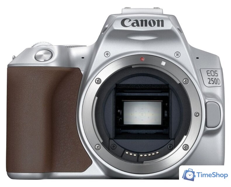 Зеркальный фотоаппарат Canon EOS 250D Kit 18-55 IS STM (серебристый) - Изображение №2 — Интернет-магазин Time-Shop
