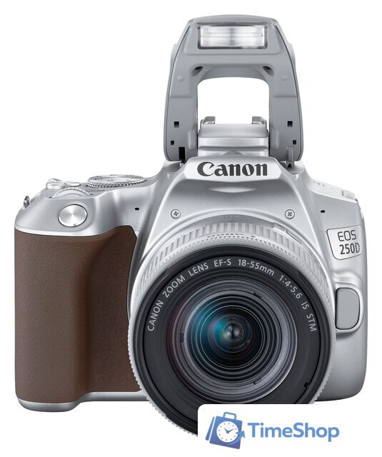 Зеркальный фотоаппарат Canon EOS 250D Kit 18-55 IS STM (серебристый) - Изображение №9 — Интернет-магазин Time-Shop