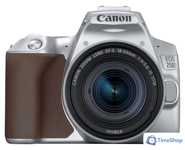 Зеркальный фотоаппарат Canon EOS 250D Kit 18-55 IS STM (серебристый) - Изображение №1 — Интернет-магазин Time-Shop