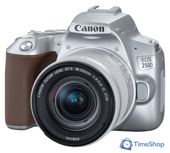 Зеркальный фотоаппарат Canon EOS 250D Kit 18-55 IS STM (серебристый) - Изображение №3 — Интернет-магазин Time-Shop