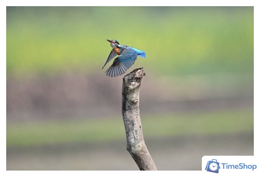 Беззеркальный фотоаппарат Nikon Z6 III Body - Изображение №27 — Интернет-магазин Time-Shop