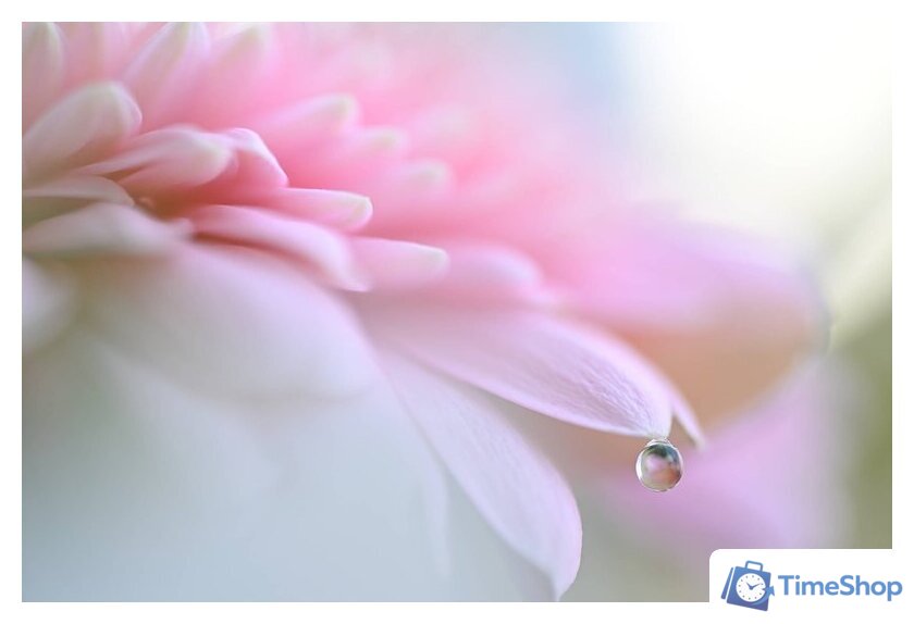 Беззеркальный фотоаппарат Nikon Z6 III Body - Изображение №29 — Интернет-магазин Time-Shop