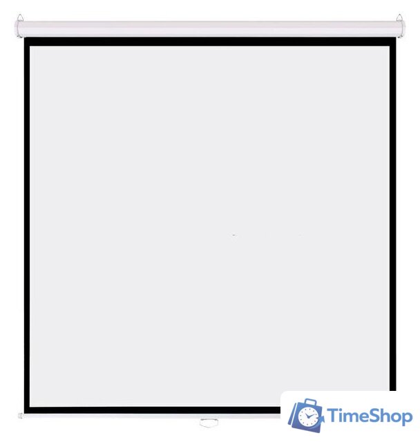 Проекционный экран PL Magna MWM-AV-80 - Изображение №1 — Интернет-магазин Time-Shop