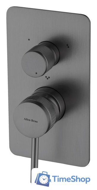 Смеситель Allen Brau Priority 5.31A11-MG - Изображение №1 — Интернет-магазин Time-Shop