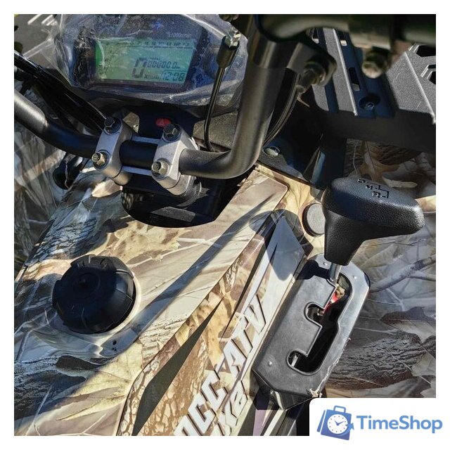 Квадроцикл RAM ATV FX250 (камуфляж) - Изображение №2 — Интернет-магазин Time-Shop