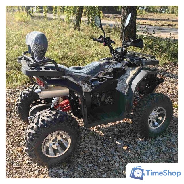 Квадроцикл RAM ATV FX250 (камуфляж) - Изображение №7 — Интернет-магазин Time-Shop