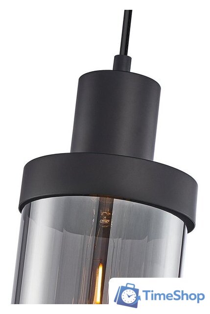 Подвесная люстра F-Promo 4364-1P - Изображение №2 — Интернет-магазин Time-Shop