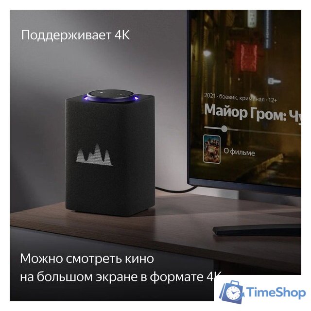 Умная колонка Яндекс Станция Макс (с хабом умного дома Zigbee, графит) - Изображение №5 — Интернет-магазин Time-Shop