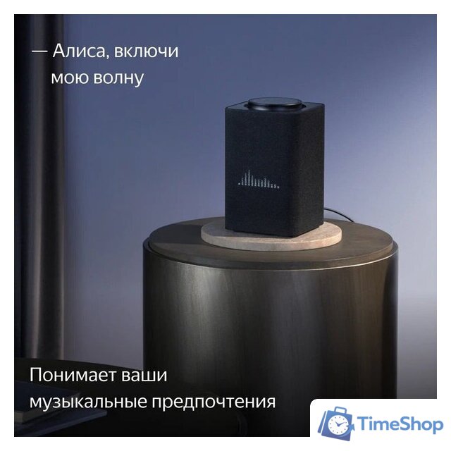 Умная колонка Яндекс Станция Макс (с хабом умного дома Zigbee, графит) - Изображение №9 — Интернет-магазин Time-Shop