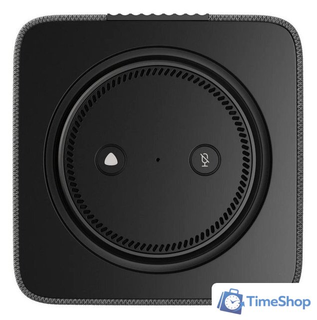 Умная колонка Яндекс Станция Макс (с хабом умного дома Zigbee, графит) - Изображение №2 — Интернет-магазин Time-Shop