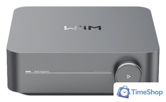 Сетевой интегральный усилитель WiiM Amp Pro (серый) - Изображение №1 — Интернет-магазин Time-Shop