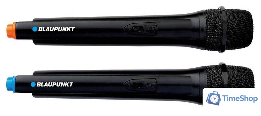 Патибокс Blaupunkt PB08DB - Изображение №3 — Интернет-магазин Time-Shop