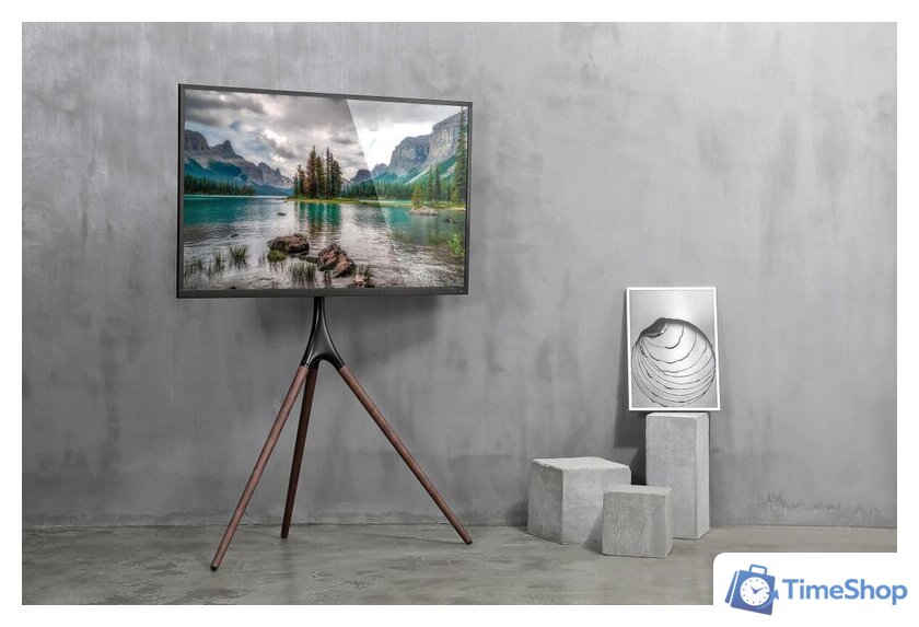 Стойка для телевизора CACTUS CS-ST1246BKWN - Изображение №10 — Интернет-магазин Time-Shop