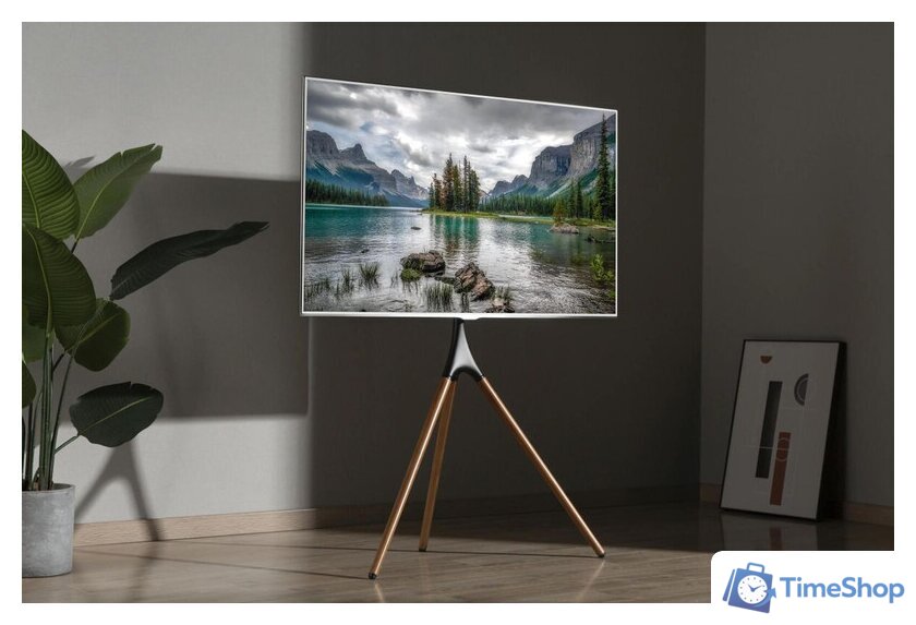 Стойка для телевизора CACTUS CS-ST1246BKWN - Изображение №12 — Интернет-магазин Time-Shop