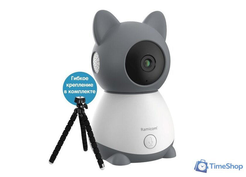 Дополнительная камера Ramicom VRC300CTR - Изображение №2 — Интернет-магазин Time-Shop