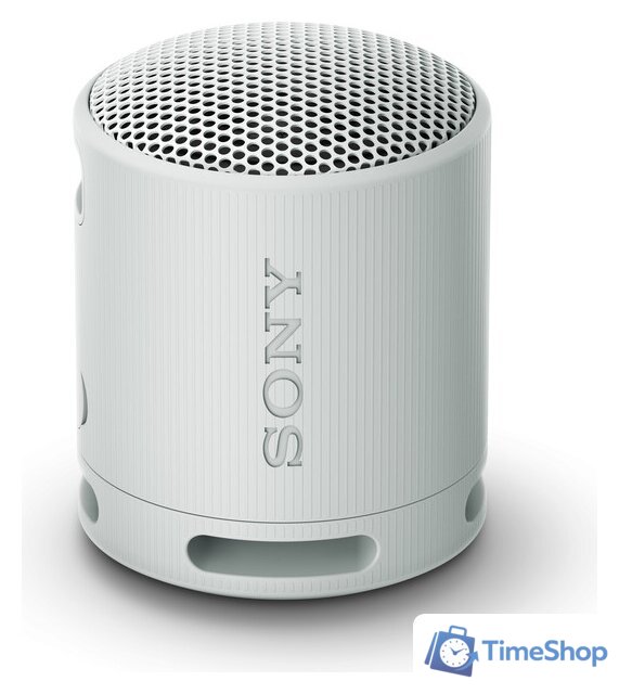 Беспроводная колонка Sony XB100 (светло-серый) - Изображение №1 — Интернет-магазин Time-Shop