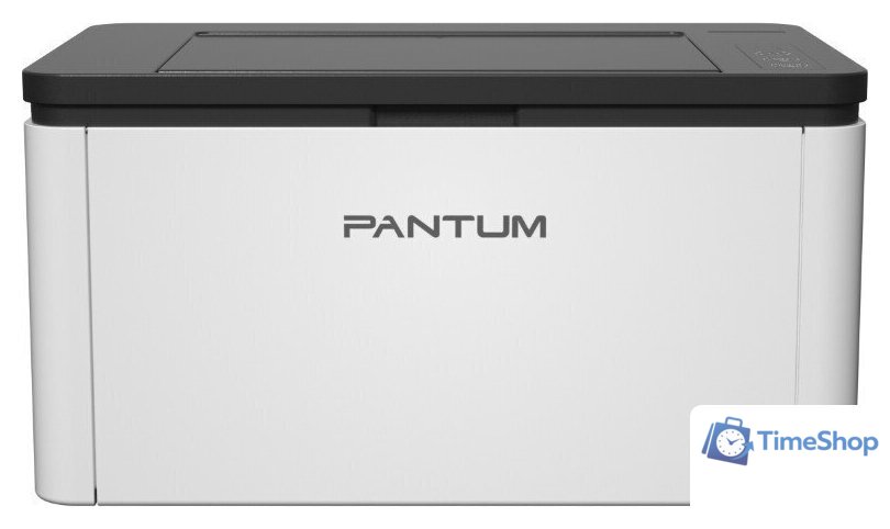 Принтер Pantum BP1800W - Изображение №1 — Интернет-магазин Time-Shop