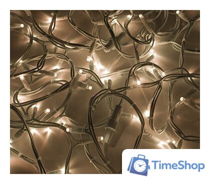 Светодиодная гирлянда ULED ULED-SL-100-24V-(W-F-WW/WW) - Изображение №1 — Интернет-магазин Time-Shop