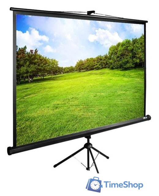 Проекционный экран CACTUS TriExpert 150x200 CS-PSTE-200X150-BK - Изображение №1 — Интернет-магазин Time-Shop