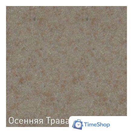 Кухонная мойка Zigmund & Shtain Kreis 480 (осенняя трава) - Изображение №2 — Интернет-магазин Time-Shop