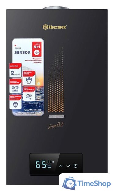 Газовая колонка Thermex S 20 MD (Art Black) - Изображение №1 — Интернет-магазин Time-Shop
