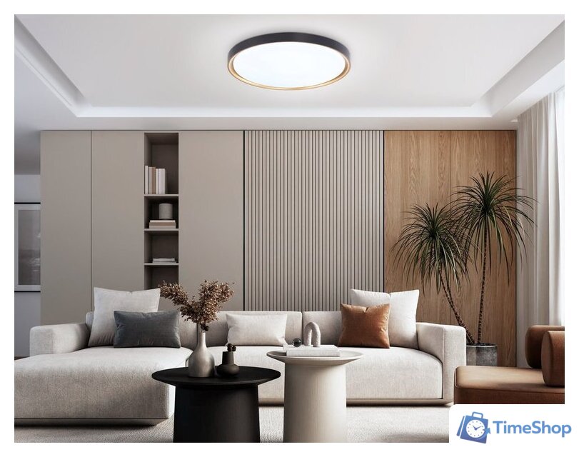 Припотолочная люстра Ambrella light Orbital FZ1249 BK/GD (черный/золото) - Изображение №6 — Интернет-магазин Time-Shop