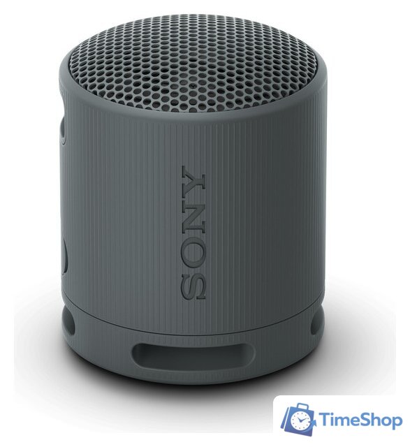 Беспроводная колонка Sony XB100 (черный) - Изображение №1 — Интернет-магазин Time-Shop