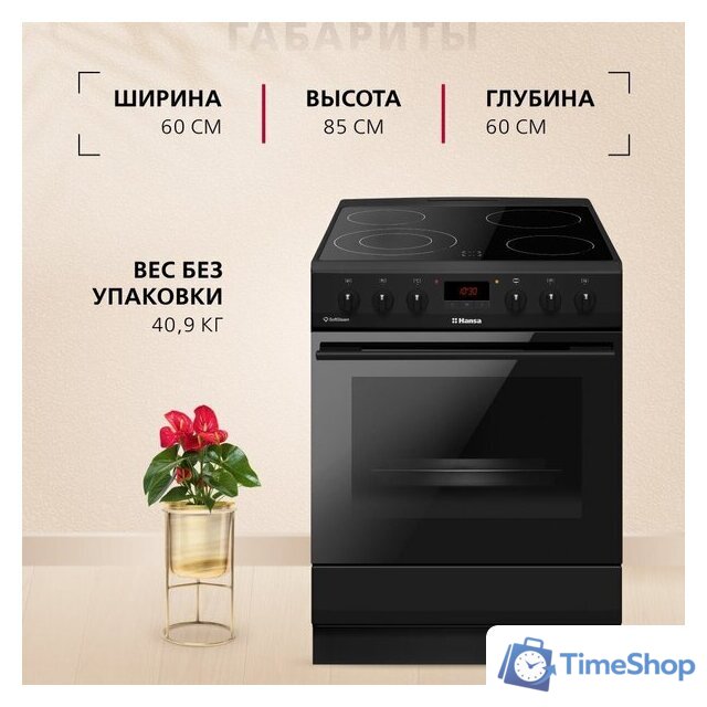 Кухонная плита Hansa FCCM69225H - Изображение №12 — Интернет-магазин Time-Shop