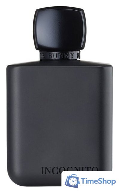 Парфюмерная вода Rouge Bunny Rouge Incognito EdP (100 мл) - Изображение №1 — Интернет-магазин Time-Shop