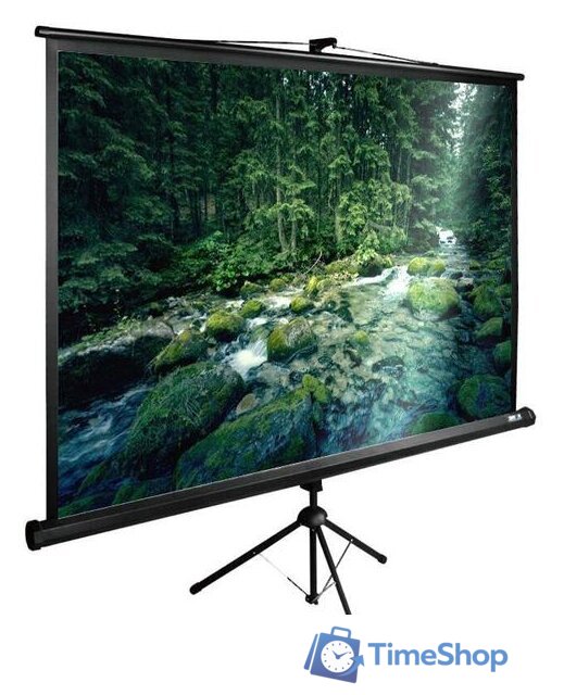 Проекционный экран CACTUS TriExpert 165x220 CS-PSTE-220X165-BK - Изображение №1 — Интернет-магазин Time-Shop