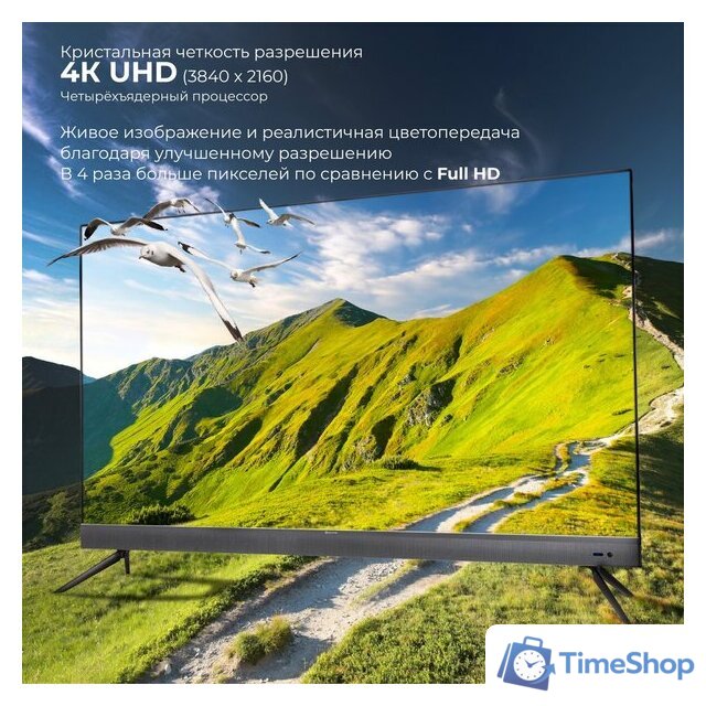 Телевизор Evolution WOSQ65MR1SBUHD - Изображение №10 — Интернет-магазин Time-Shop