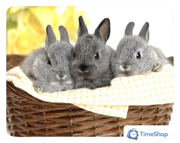 Коврик для мыши Buro BU-M40092 - Изображение №1 — Интернет-магазин Time-Shop